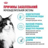 Сухой корм Royal Canin Urinary Care для профилактики МКБ у кошек, 2 кг фото 3