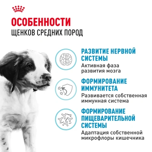 Сухой корм Royal Canin Medium Puppy PRO для щенков средних пород, 20 кг фото 2