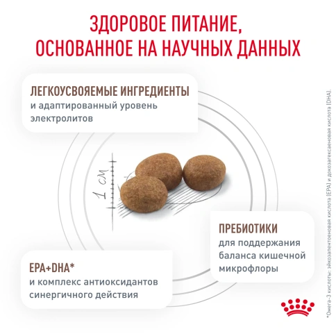 Сухой корм Royal Canin Gastrointestinal Low Fat Small Dogs для собак, 3 кг фото 7