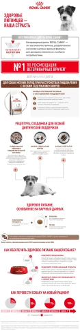 Сухой корм Royal Canin Gastrointestinal Low Fat Small Dogs для собак, 1.5 кг фото 8