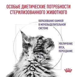 Сухой корм Royal Canin Neutered Satiety Balance для кошек, 300 г фото 4