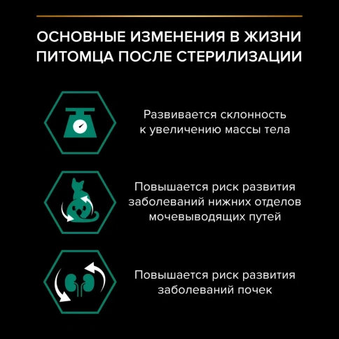 Влажный корм Purina Pro Plan Sterilised Maintenance для стерилизованных кошек, с индейкой в соусе, 85 г фото 3