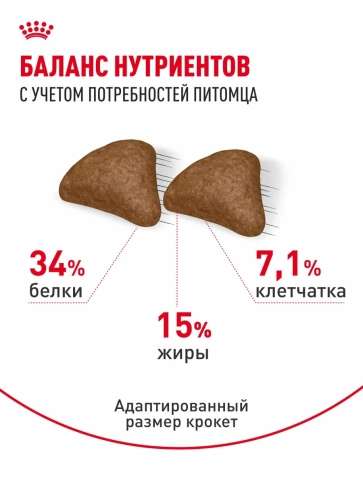 Сухой корм Royal Canin Hairball Care для взрослых кошек, для выведения волосяных комочков, 2 кг фото 4