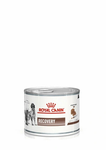 Диетический влажный корм Royal Canin Recovery для собак и кошек в период восстановления, мусс, банка, 195 г фото 1