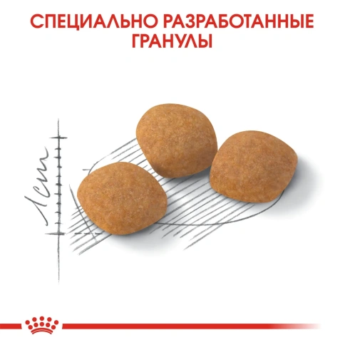 Сухой корм Royal Canin Exigent Protein Preference для взрослых привередливых кошек, 4 кг фото 4