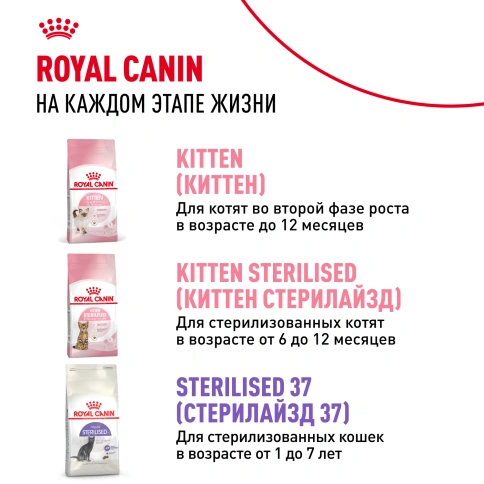 Сухой корм Royal Canin Kitten Sterilised для котят, 400 г фото 9