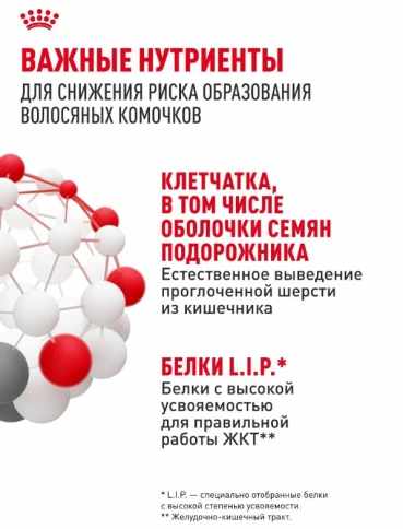 Сухой корм Royal Canin Hairball Care для взрослых кошек, для выведения волосяных комочков, 10 кг фото 5