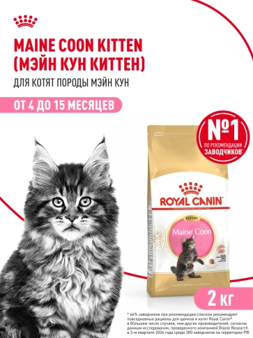Сухой корм Royal Canin Kitten Maine Coon для котят, 2 кг фото 15