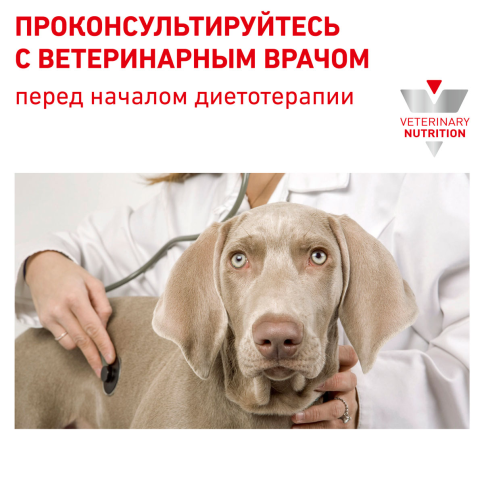 Влажный корм (консервы) Royal Canin Cardiac Canine FR для собак при заболеваниях сердца, 410 г фото 4