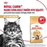 Сухой корм Royal Canin Maine Coon Adult для взрослых кошек породы мейн-кун, 400 г фото 1