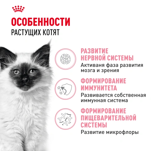 Сухой корм Royal Canin Kitten для котят, 2 кг фото 2