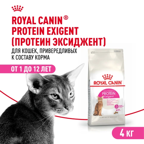 Сухой корм Royal Canin Protein Exigent для кошек, фото 1