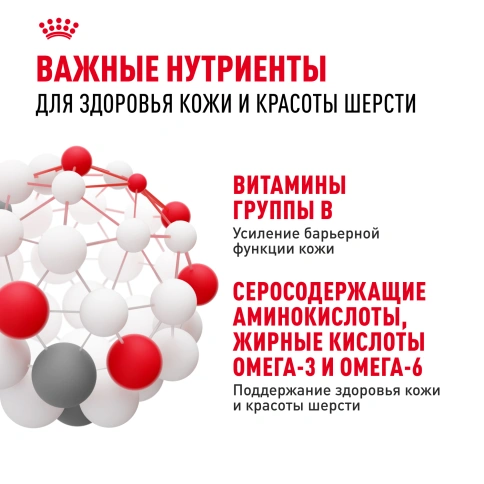 Сухой корм Royal Canin Hair & Skin Care для кошек, 10 кг фото 5