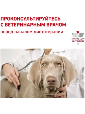 Влажный диетический корм Royal Canin Gastrointestinal Canine для собак, паштет, 400 г фото 5