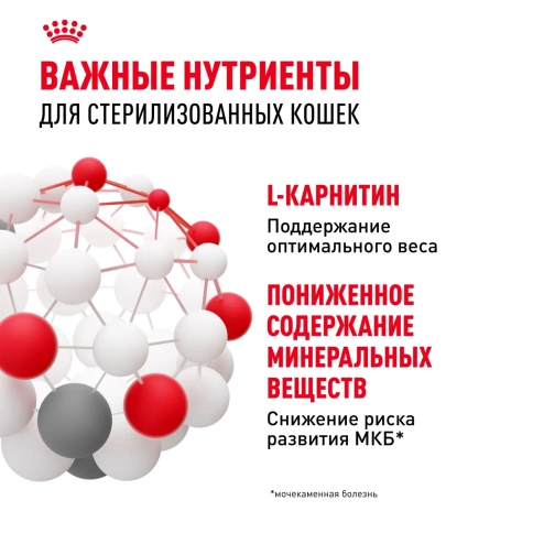 Влажный корм (паштет) Royal Canin Sterilised для стерилизованных кошек, 85 г фото 4