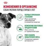 Сухой корм Royal Canin Mini Adult 8+ для пожилых собак мелких пород старше 8 лет, 2 кг фото 3