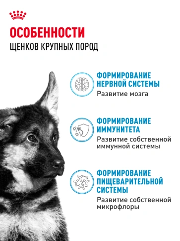 Сухой корм Royal Canin Maxi Puppy для щенков, 15 кг фото 19