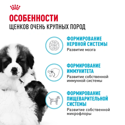 Сухой корм Royal Canin Giant Puppy для щенков, 3.5 кг фото 2