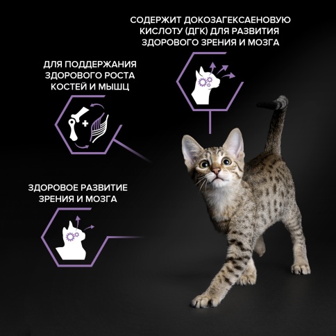 Сухой корм Purina Pro Plan Junior Chicken для котят, с курицей, 1.5 кг фото 2