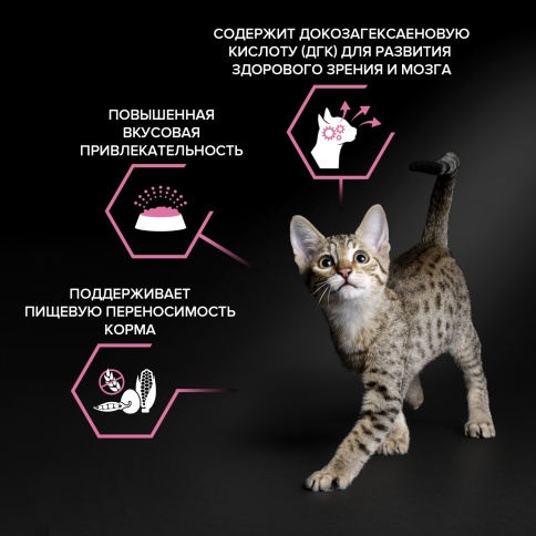 Сухой корм Purina Pro Plan Delicate Kitten Opti-Digest для котят, с индейкой, 400 г фото 2