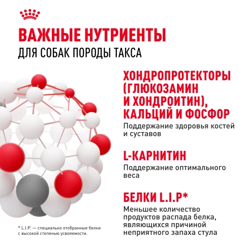 Сухой корм Royal Canin Dachshund Adult для собак породы такса, 7.5 кг фото 5