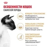 Сухой корм Royal Canin Siamese для взрослых сиамских кошек, 400 г фото 3