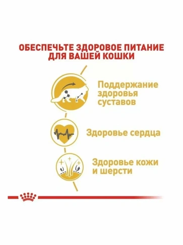 Сухой корм Royal Canin Maine Coon Adult для взрослых кошек породы мейн-кун, 13 кг фото 2