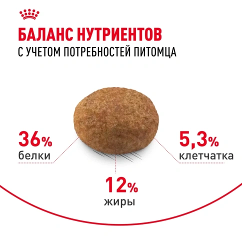 Сухой корм Royal Canin Sterilised 7+ для стерилизованных кошек и кастрированных котов старше 7 лет, 1,5 кг фото 4