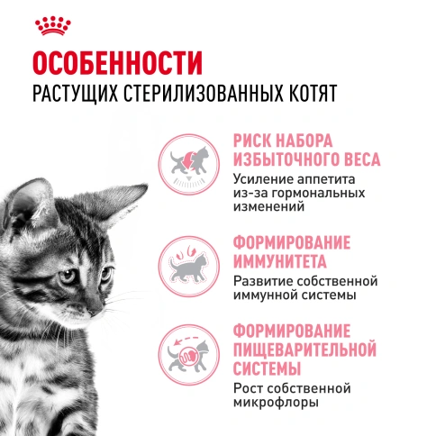 Сухой корм Royal Canin Kitten Sterilised для котят, 2 кг фото 2