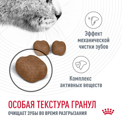 Сухой корм Royal Canin Oral Care для кошек для уменьшения образования зубного камня, 400 г фото 6