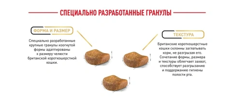 Сухой корм Royal Canin British Shorthair для кошек породы британская короткошерстная, 2 кг фото 19