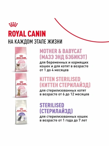 Сухой корм Royal Canin Kitten для котят от 4 до 12 месяцев, с птицей, 10 кг фото 9