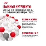Сухой корм Royal Canin Mother & Babycat с птицей для кошек и котят от 1 до 4 месяцев, 10 кг фото 6