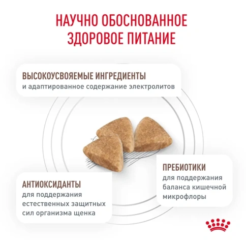 Сухой корм Royal Canin Gastro Intestinal Puppy GU29 для щенков при нарушениях пищеварения, 2.5 кг фото 3