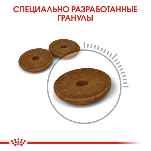 Сухой корм Royal Canin Digestive Care для взрослых кошек для поддержания здоровья пищеварительной системы, 10 кг фото 4