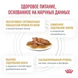 Влажный корм (соус) Royal Canin Urinary S/O Moderate Calorie FR диетический для взрослых кошек, 85 г фото 3