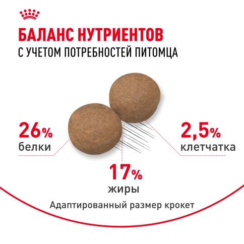 Сухой корм Royal Canin Maxi Adult 5+ для собак, 4 кг фото 4