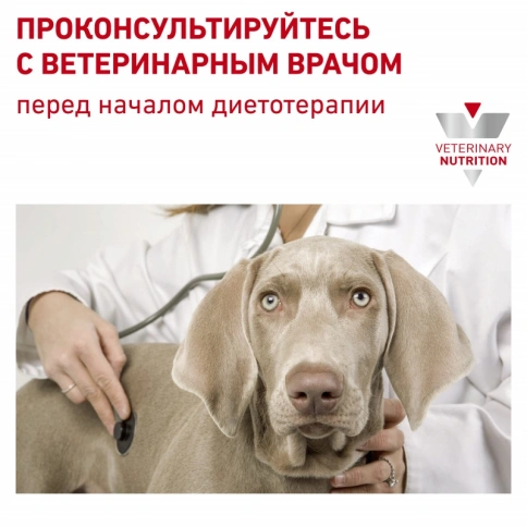 Диетический влажный корм Royal Canin Sensitivity Control для собак при пищевой аллергии или непереносимости, с уткой и рисом, паштет, банка, 410 г фото 6