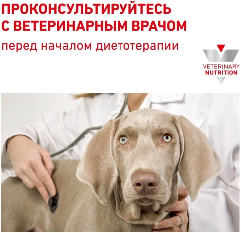 Диетический влажный корм Royal Canin Renal для собак при заболеваниях почек, паштет, банка, 410 г фото 4