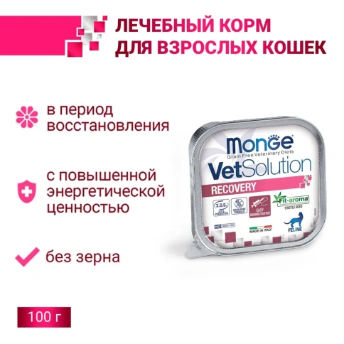 Влажный корм Monge VetSolution Cat Recovery диета для кошек в период восстановления, 100 г фото 2