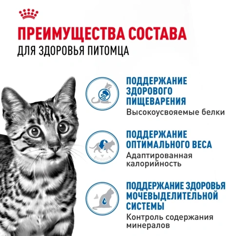 Влажный корм (паштет) Royal Canin Indoor Sterilised FR для стерилизованных кошек, 85 г фото 3