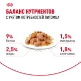 Влажный корм (желе) Royal Canin Sterilised для стерилизованных кошек, 85 г фото 3