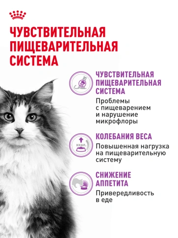 Сухой корм Royal Canin Sensible для кошек, 15 кг фото 16