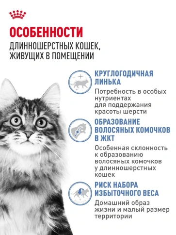 Сухой корм Royal Canin Indoor Long Hair для длинношерстных кошек, живущих в помещении, 10 кг фото 2
