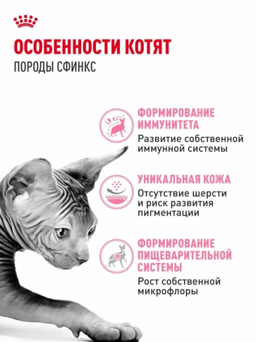 Сухой корм Royal Canin Sphynx Kitten для котят породы сфинкс до 12 месяцев, 400 г фото 2