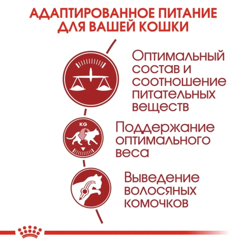Сухой корм Royal Canin Fit 32 для взрослых кошек, с птицей, 400 г фото 2