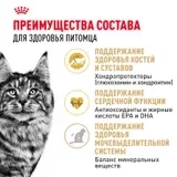 Сухой корм Royal Canin Maine Coon Adult PRO для кошек породы мейн-кун, 13 кг фото 3