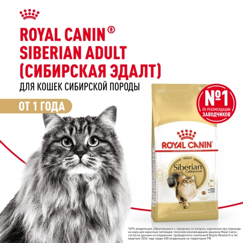 Сухой корм Royal Canin Siberian для кошек, 2 кг фото 12