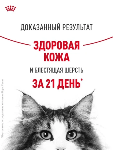 Влажный корм Royal Canin Hair & Skin Care в соусе для взрослых кошек, для здоровья кожи и шерсти, пауч, 85 г фото 8