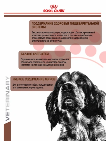 Влажный корм (консервы) Royal Canin Gastro Intestinal Low Fat FR Canine для собак при панкреатите, 410 г фото 2